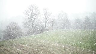 Winter solstice - foggy snowy day during winter | Trending HD Video