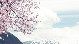 ✅Música ambiente de cura para eliminar toda negatividade- Saúde mental e bem-estar- Fragmentos #92