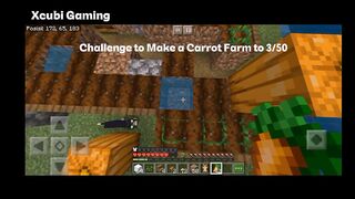 Challenge to Make a Carrot Farm to 3/50