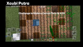 Challenge to Make a Carrot Farm to 4/50