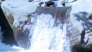 Beautiful nature 274