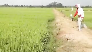 Vídeos engraçados 3 minutos de risadas