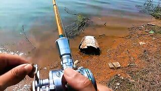 Hope Still Lives as Long as We Keep Trying ????