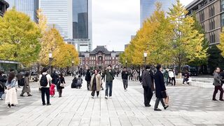 Travelpro - autumn day at tokyo station plaza | Trending HD Video