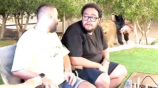 Even if a lion gets too close, don't look him