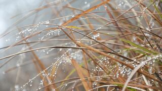 Winterhalter - id | Trending HD Video 80