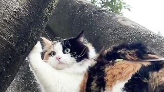 I love how cats sit in the most awkward position ever