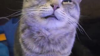 me when I turn on the lights in the middle of the night