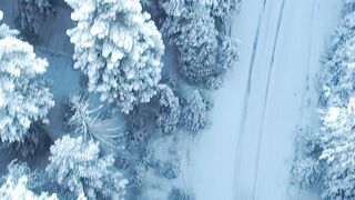 Snow boot - id | Trending HD Video 43