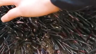 Giant Spider Burrows Into Woman's Mouth #movie #films #movieclips