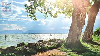 What a beautiful Scene