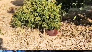 Mau ketawa takut dosa video  lucu bikin ngakak hiburan warga+62 #comedy #funny #lucu #trending #meme 29