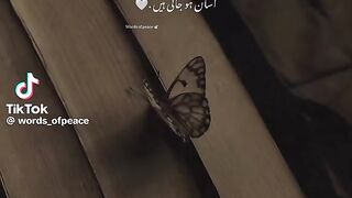 Golden Words 21