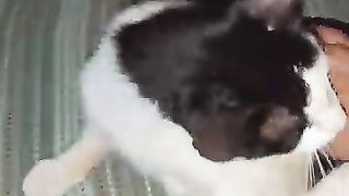 Felix getting naked