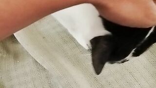 POV: You’re living with a tiny chaos agent ????✨