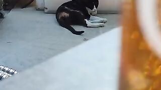My Last Drinking Buddy