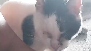 Chilli Pepper  loves cuddling