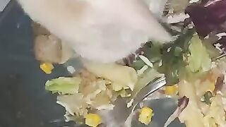 Salad lefties. Crazy George