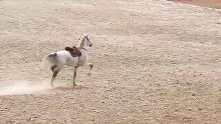 Шикарное видео