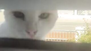 Who is that there