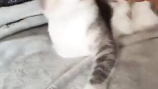 Meet Queenie