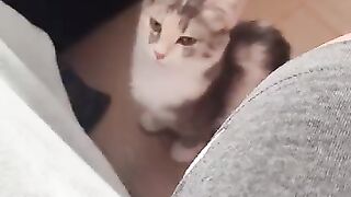 Queenie jumps