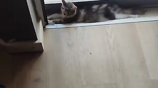 Queenie the very small draught excluder
