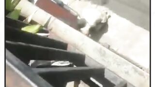 Teteh ini Rekam Aksi Pencuri Besi di Antapani