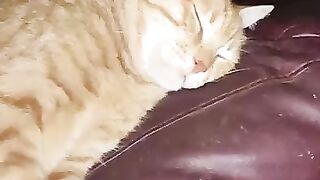 My little light