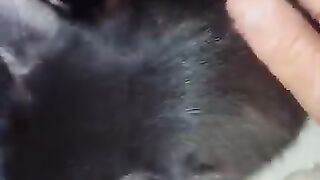 OMG CAT