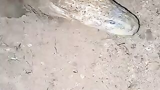 Looking for a fish or eel.. Thanks for watching..!! 58