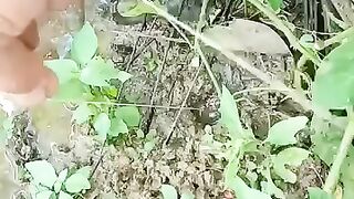 Looking for a fish or eel ... Thanks for watching..!! 2
