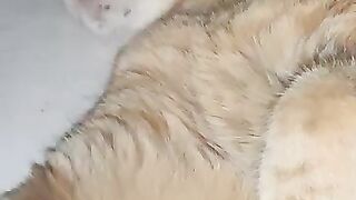 it's a hard life