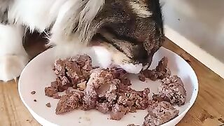 Seconds