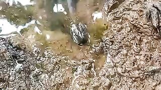 Looking for a fish or eel.. Thanks for watching..!! 61