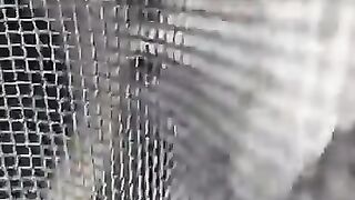 Feral kitten abduction.