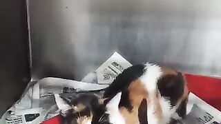 Delilah looks better just not happy.