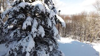 The Shy Snow Woman and the Cursed Ring - an aerial footage of a winter landscape and snow cover