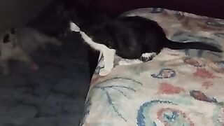Enid forgets that ladies don't fart
