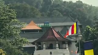 Temple of sri lanka