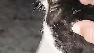 Enid is hungry for flesh