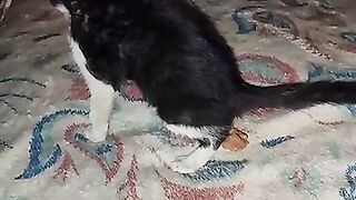 Enid discovers Farts have consequences