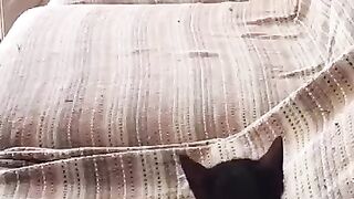 Enid attacks Wednesday