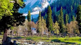 beautiful Wally ❤️