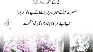 True Words 24