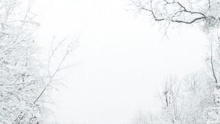 Winter Coat - winter conditions on road in forest | Trending HD Video
