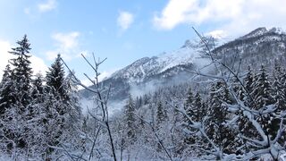 Winterhalter - id | Trending HD Video 83