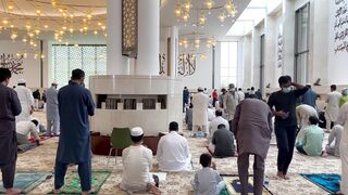 The Wedding People A Novel - people praying in mosque | Trending HD Video