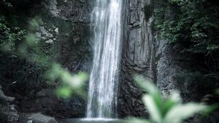 4K Computer Monitor - serene waterfall in lush forest setting | Trending HD Video