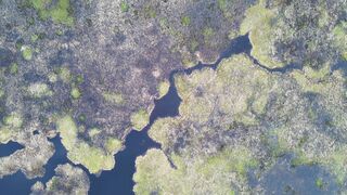 4K Computer Monitor - aerial view of scenic marshland landscape | Trending HD Video